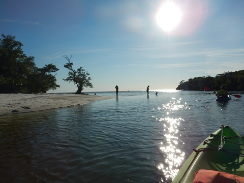 paddling Bunche Beach, Great Calusa Blueway, kayak, canoe