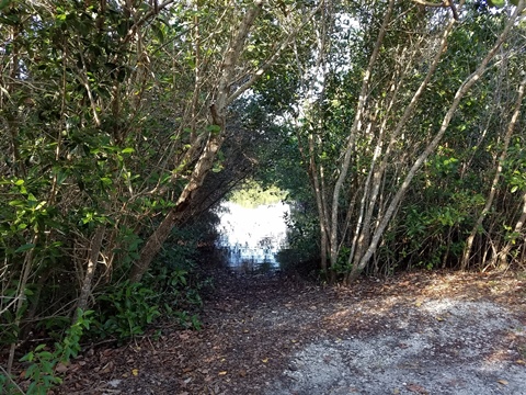 paddling Bunche Beach, Great Calusa Blueway, kayak, canoe