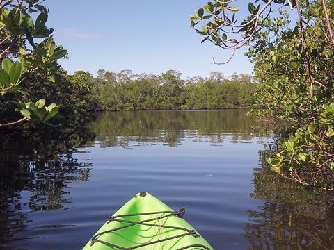 paddling Sanibel Island, Commodore Creek
