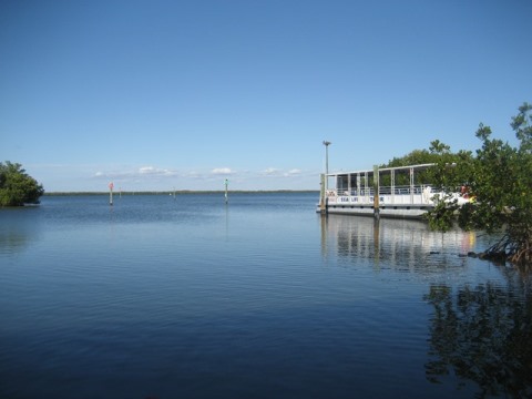 paddling Sanibel Island, Tarpon Bay
