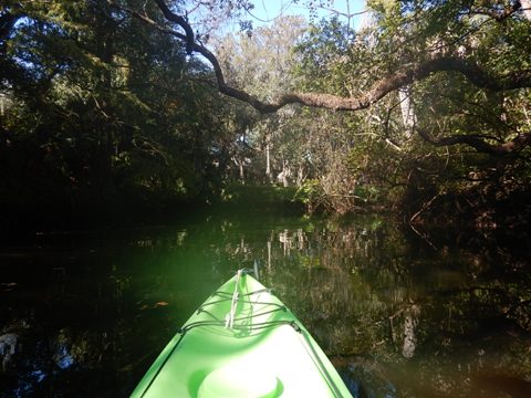 paddling Telegraph Creek, Great Calusa Blueway, kayak, canoe