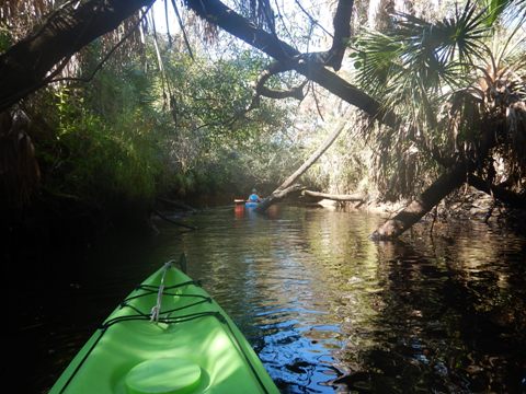 paddling Telegraph Creek, Great Calusa Blueway, kayak, canoe