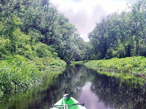 Blackwater Creek