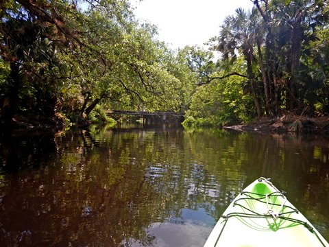 Black Water Creek, Seminole State Forest