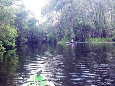 Black Water Creek, Seminole State Forest