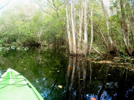 Black Water Creek, Lake Norris