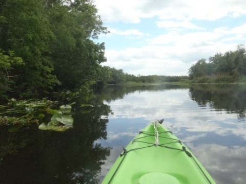 St Johns River-Blue Springs, kayak, canoe