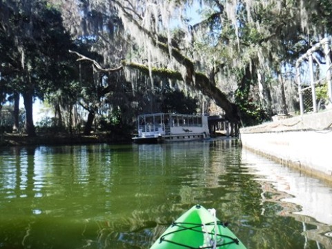 paddling Dora Canal, kayak, canoe
