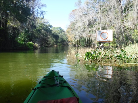 paddling Dora Canal, kayak, canoe