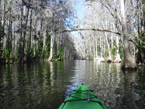 paddling Dora Canal, kayak, canoe