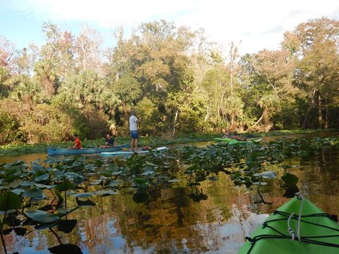 paddling Rock Springs Run, kayak, canoe