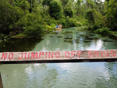 paddling Rock Springs Run, Kelly Park, Rock Springs