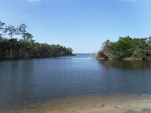paddling Tomoka River, kayak, canoe