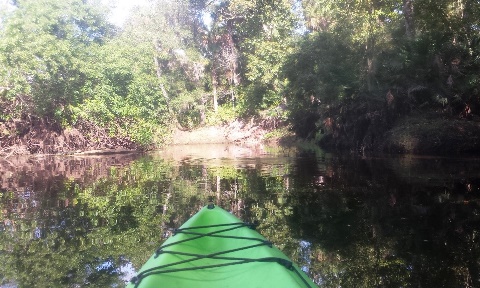 paddling Turkey Creek, kayak, canoe