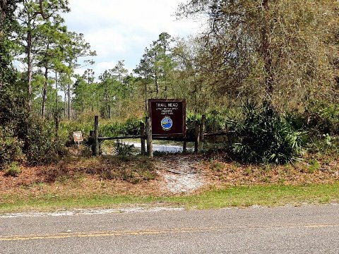 paddling Wekiva River, Katie's Landing