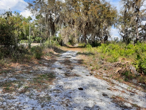 paddling Wekiva River, Katie's Landing