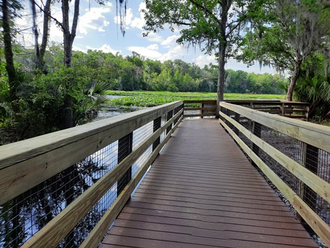 paddling Wekiva River, Wilson's Landing