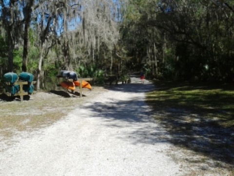 paddling Alafia River, kayak, canoe