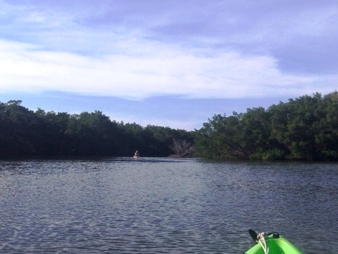 Cockroach Bay