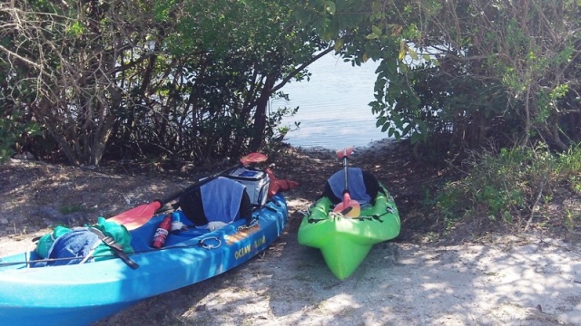 paddling Cockroach Bay, kayak, canoe