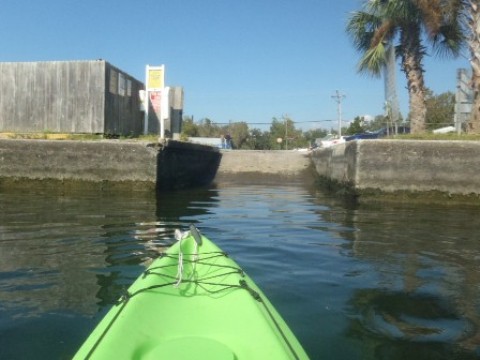 paddle Crystal River, Kings Bay, kayak, canoe