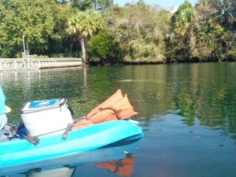 paddle Crystal River, Kings Bay, kayak, canoe