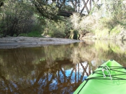paddling Little Manatee River, kayak, canoe