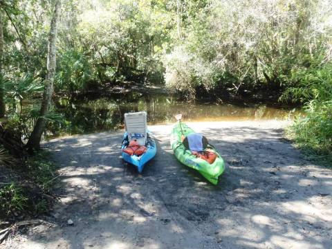 paddling Little Manatee River