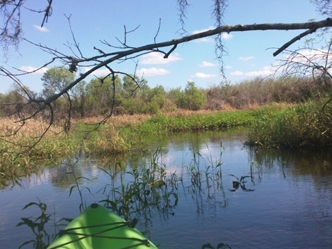Paddle Myakka River