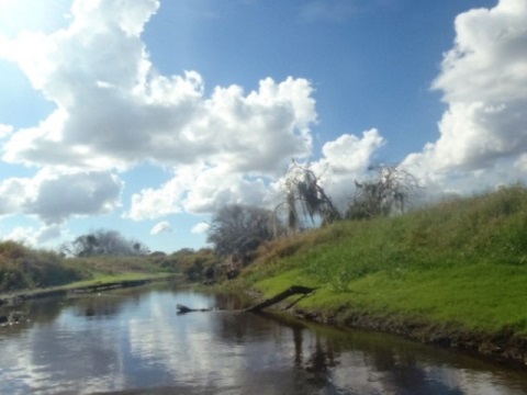 Paddle Myakka River