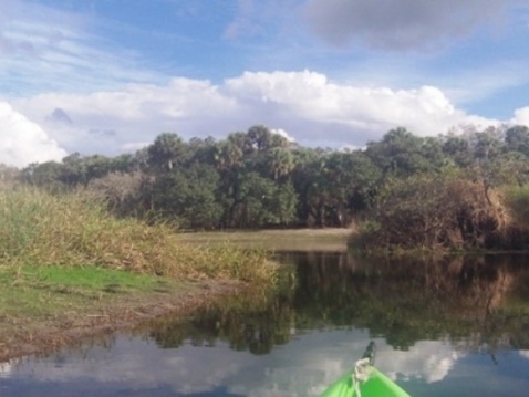 Paddle Myakka River