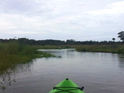 Paddle Myakka River