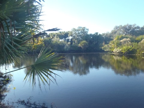 Paddle Myakka River