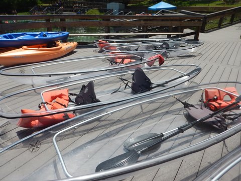 paddling Rainbow River, kayak, canoe