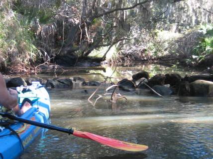 Paddling on South Creek, Oscar Scherer