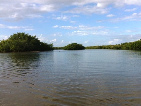 Paddle Terra Ceia