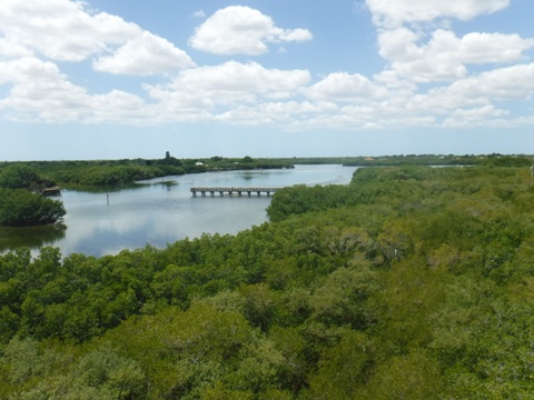 Paddle Weedon Island
