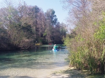Paddle Weeki Wachee River