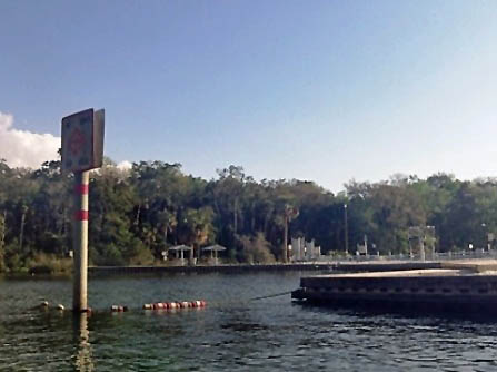 Paddle Weeki Wachee River