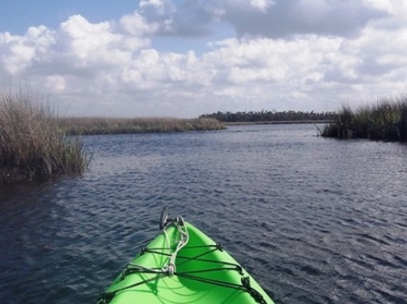 Paddle Weeki Wachee River