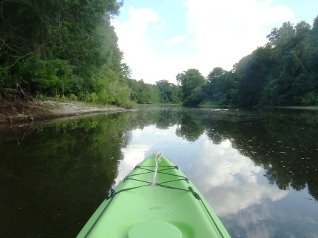Paddle Withlacoochee River, Iron Bridge