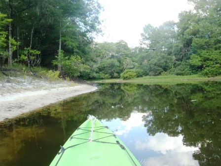 Paddle Withlacoochee River, Iron Bridge