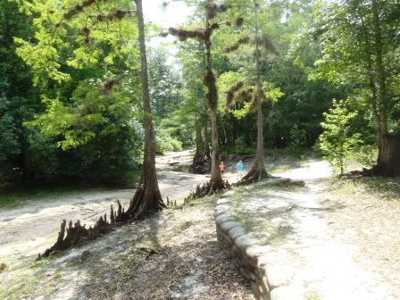 Paddle Withlacoochee River, Hog Island
