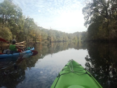 Paddle Withlacoochee River, Hog Island