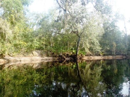 Paddle Withlacoochee River, Hog Island