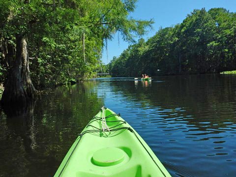 Paddle Withlacoochee River-south, Lake Rousseau