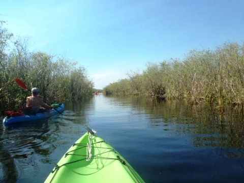 Loxahatchee National Wildlife Refuge