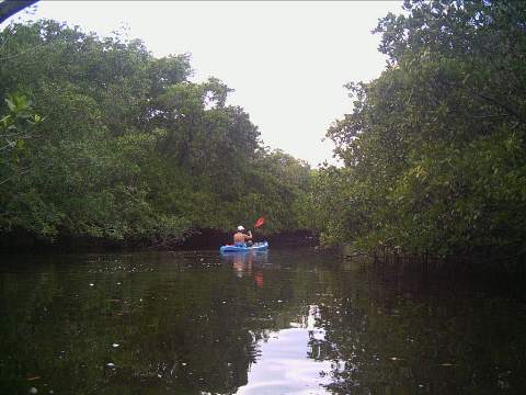 paddling Everglades, Blackwater Paddling Trail, kayak, canoe