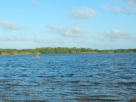paddling Everglades, Nine Mile Pond, kayak, canoe