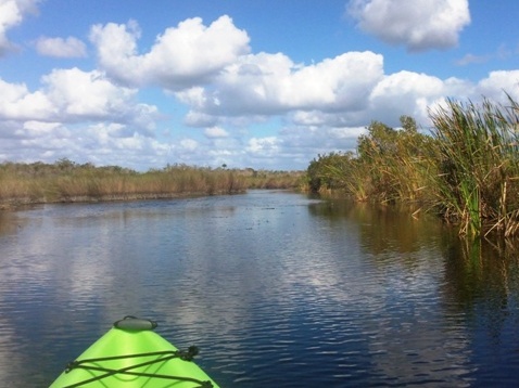 paddling Turner River, kayak, canoe